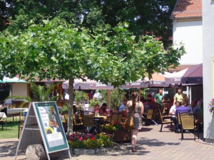 Foto: Puschkinhaus
