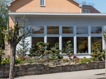 Foto: Puschkinhaus